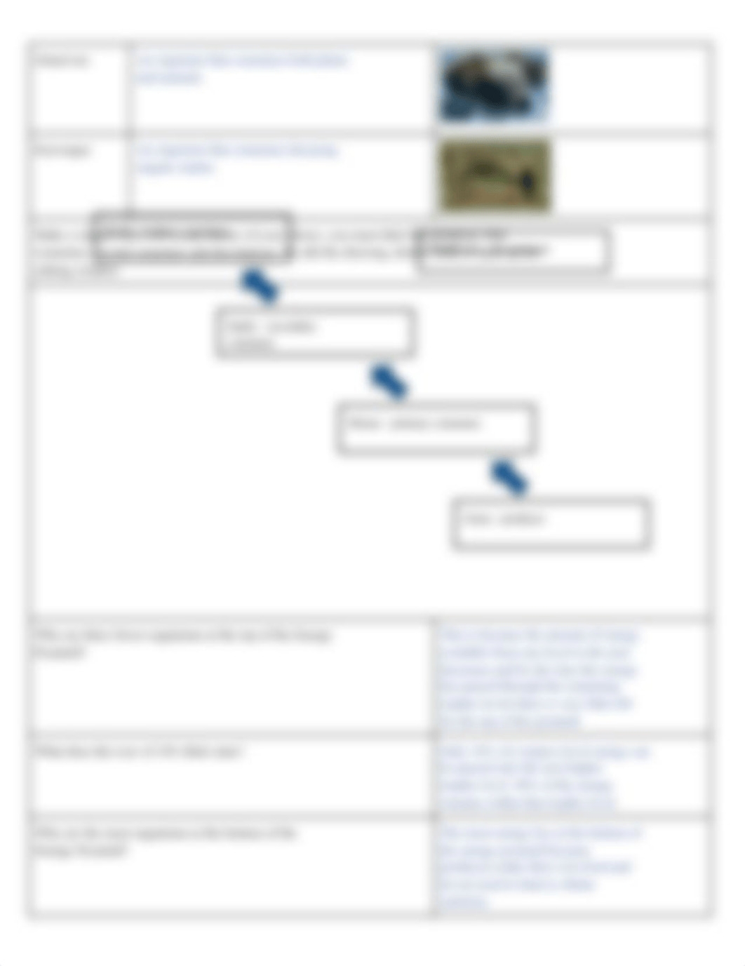 Ecology_Study_Guide_Student_Answer_Key.docx_dbb1usyx4vl_page2