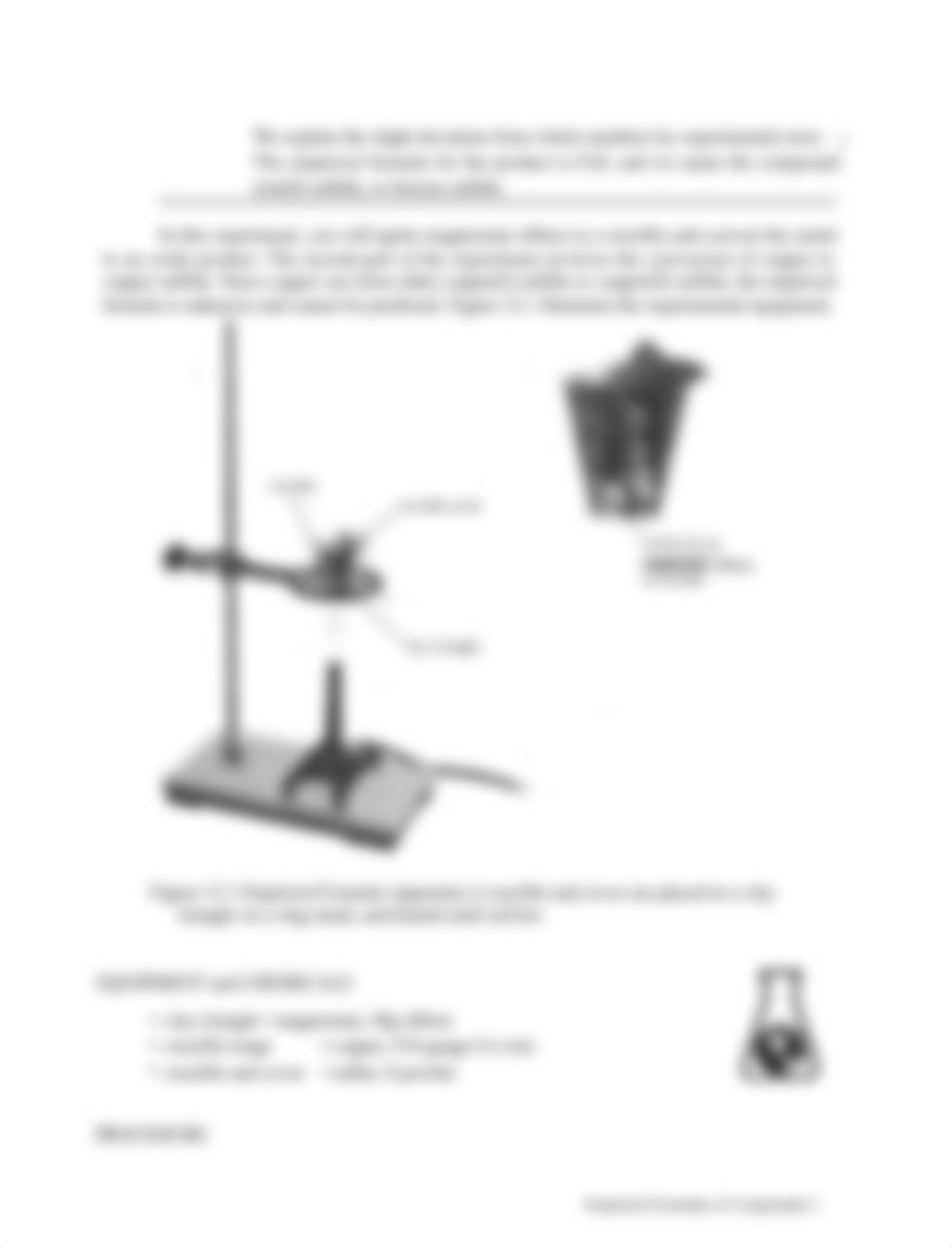 Empirical_Formulas_Lab.docx_dbb5wh196v7_page3