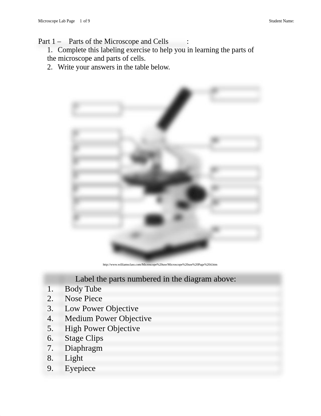 Microscope assignment .docx_dbbdl3lnjvg_page1