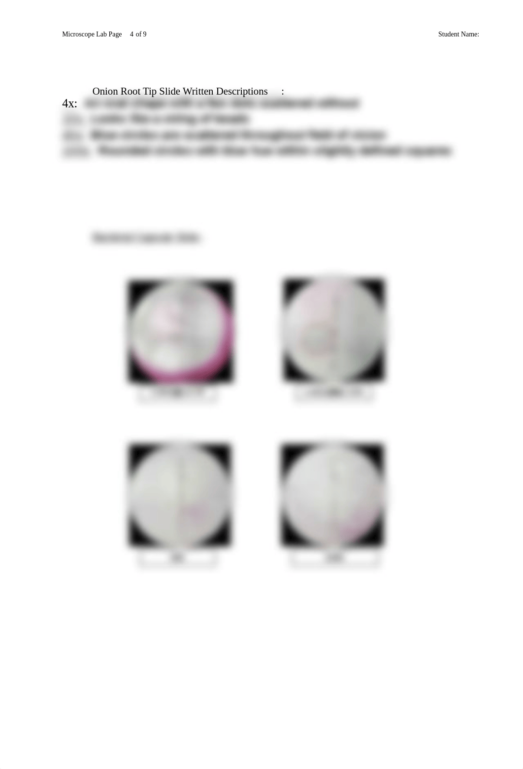 Microscope assignment .docx_dbbdl3lnjvg_page4