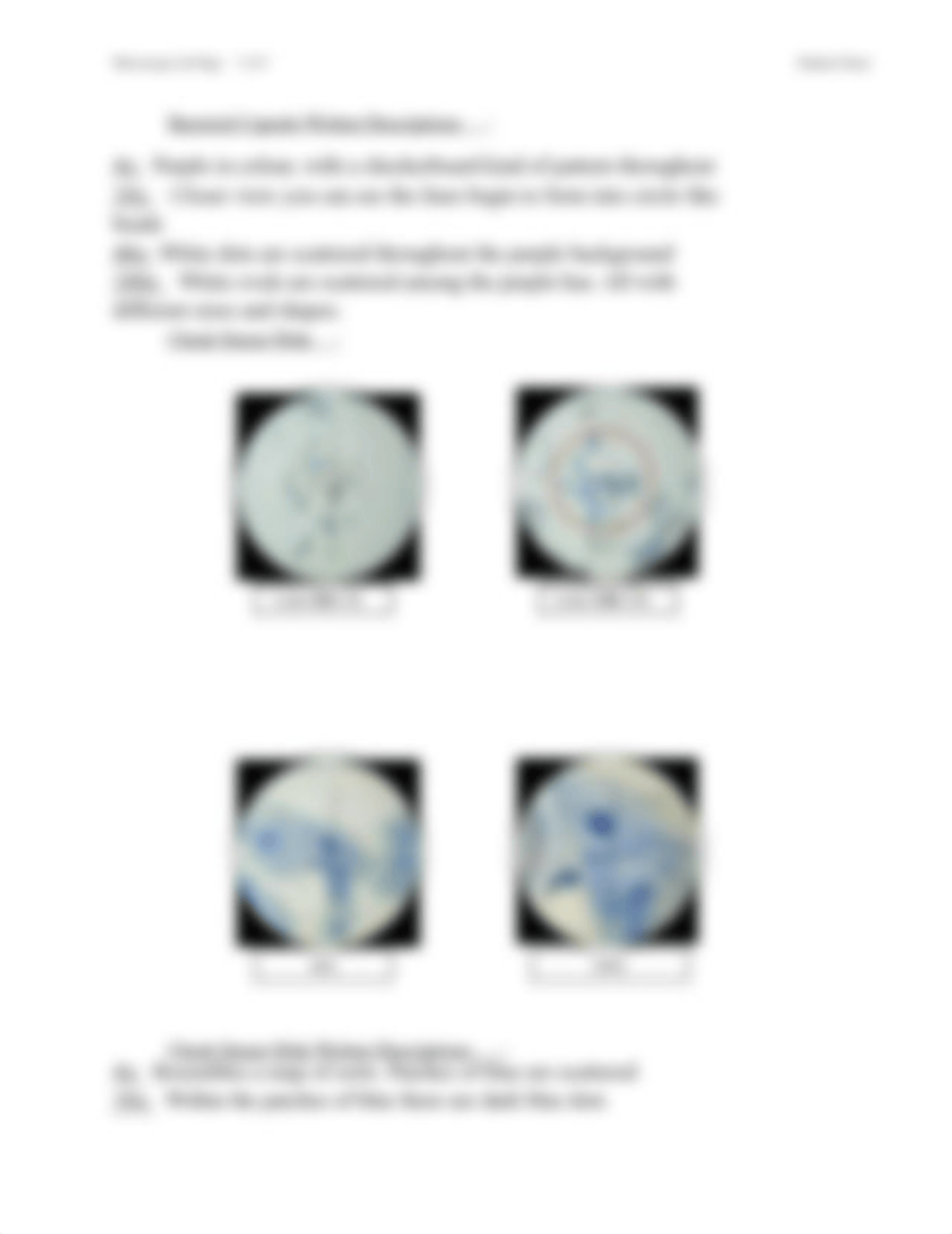 Microscope assignment .docx_dbbdl3lnjvg_page5