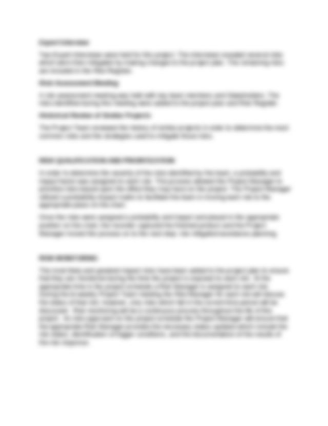 Risk Management Plan.docx_dbbqpx3v8it_page4