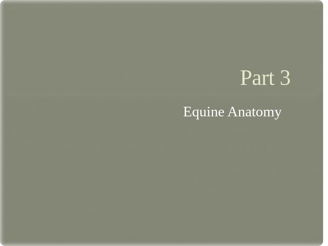 Anatomy powerpoint part 3.pptx_dbbufhblumg_page1