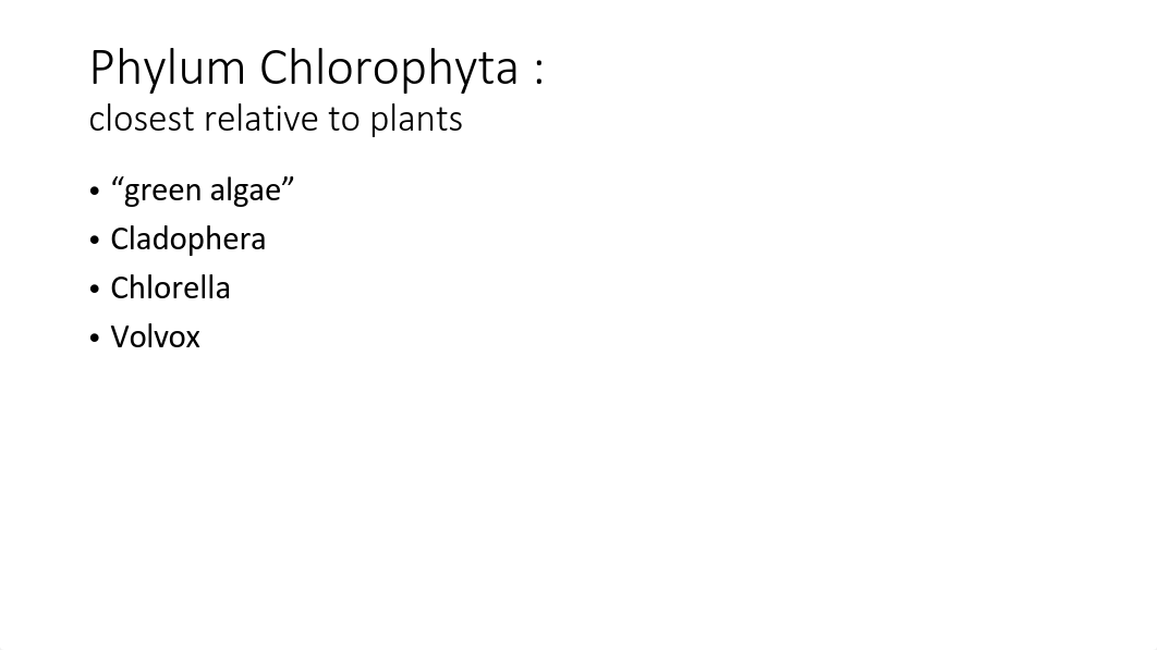 Lab Exam 1 Notebook.pdf_dbbx3do88v2_page3