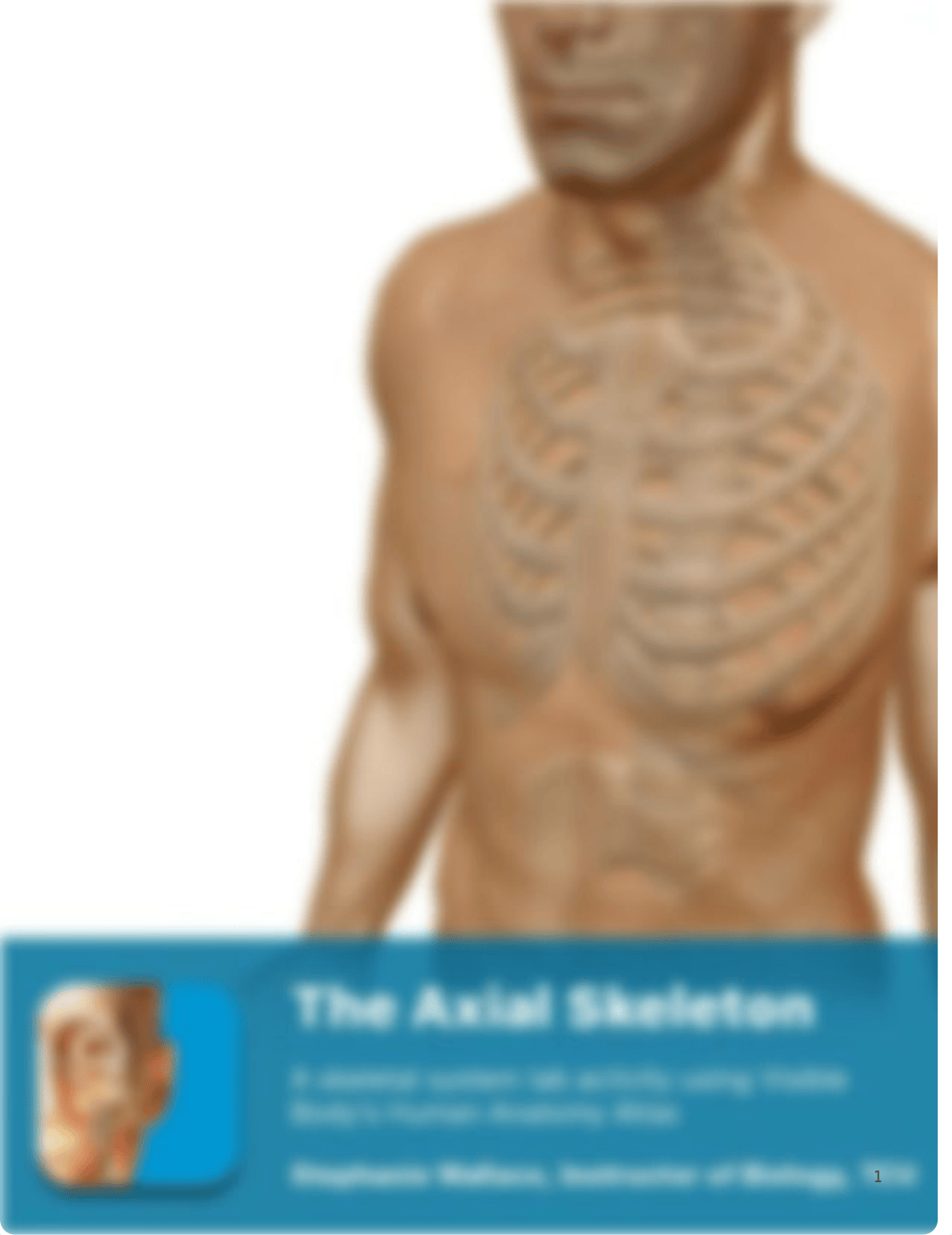 lab manual_axial_skeleton_atlas-1.docx_dbc4e8patgh_page1