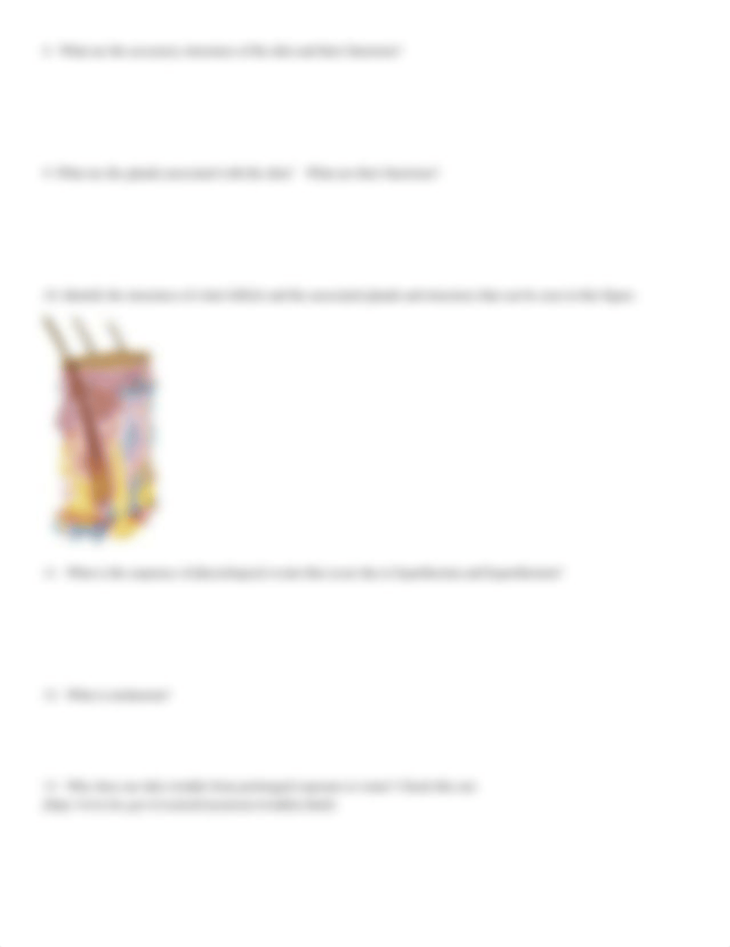 ALM ch. 6 Integumentary system.docx_dbc7ksd2xmo_page3