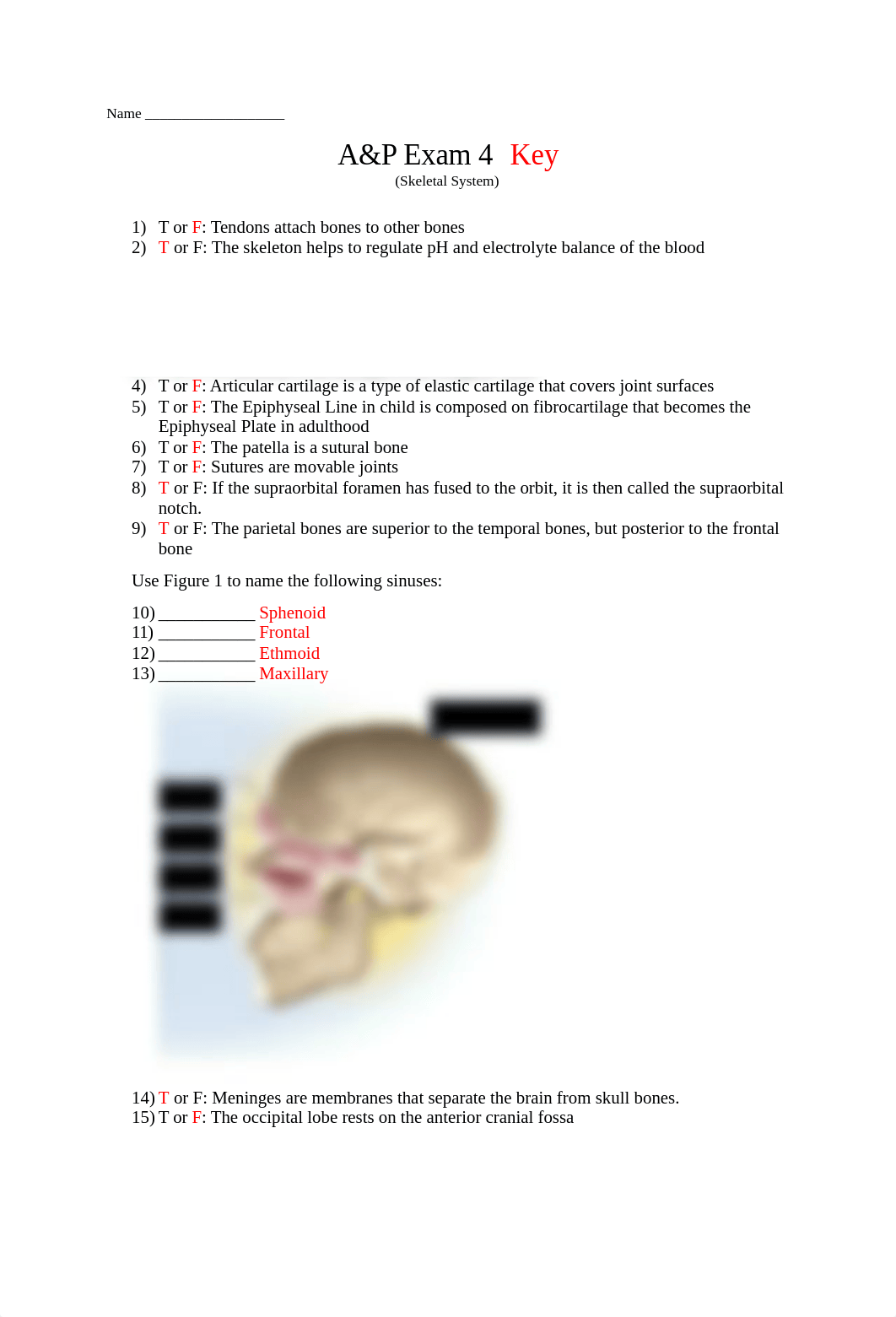 Exam 4 Key (Skeleton).docx_dbcclg4c9ea_page1