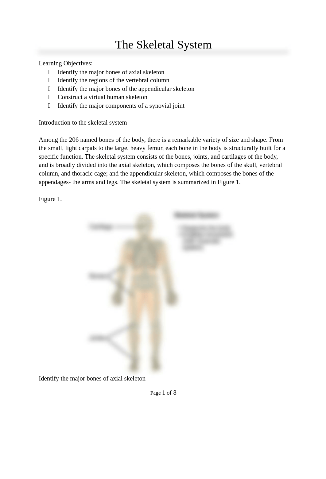 Lab 6- The Skeletal System.docx_dbcdlowi1t4_page1