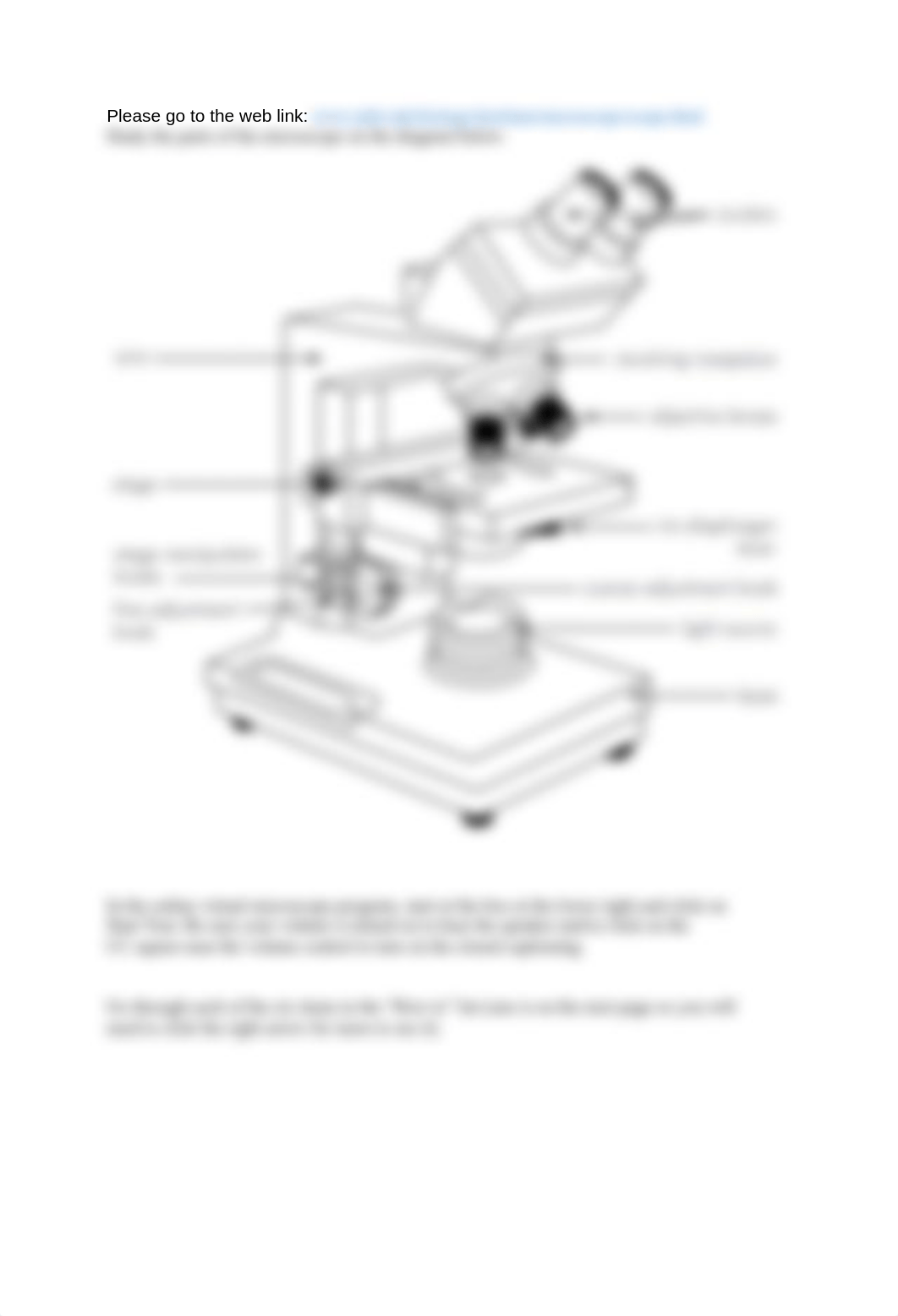 BIOL1101_The Cell and MIcroscope.docx_dbcjf8qbwdi_page3