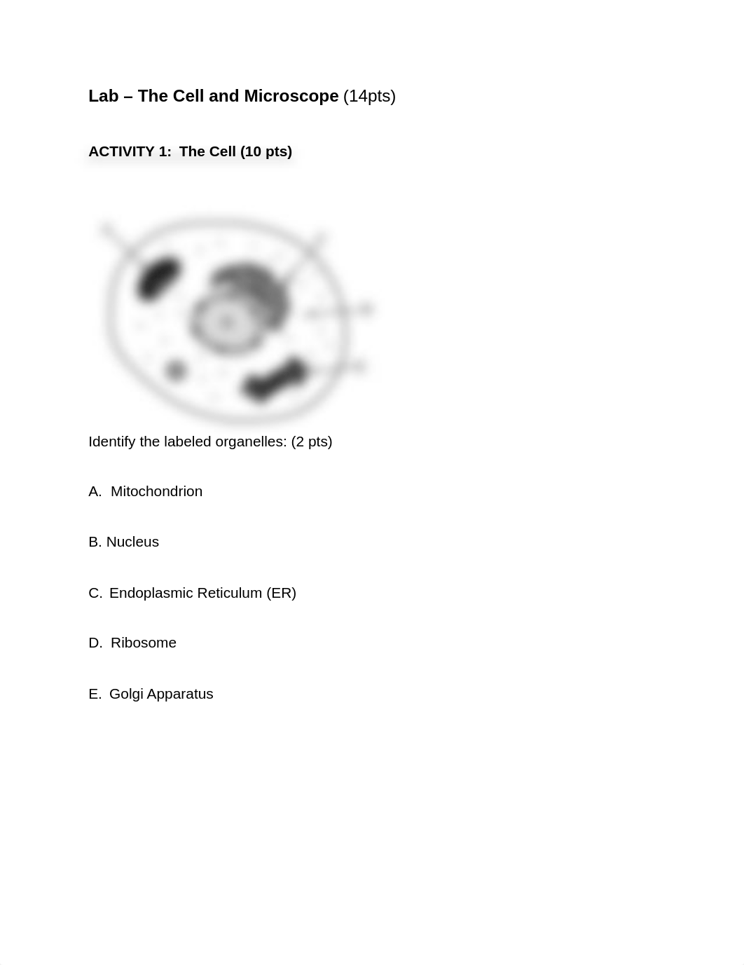 BIOL1101_The Cell and MIcroscope.docx_dbcjf8qbwdi_page1