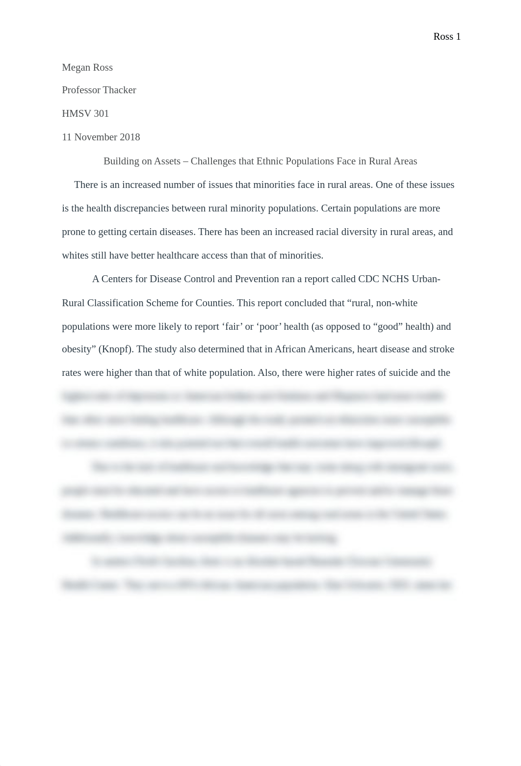 Building on Assets - Challenges that Ethnic Populations Face in Rural Areas.docx_dbcko02wdjq_page1