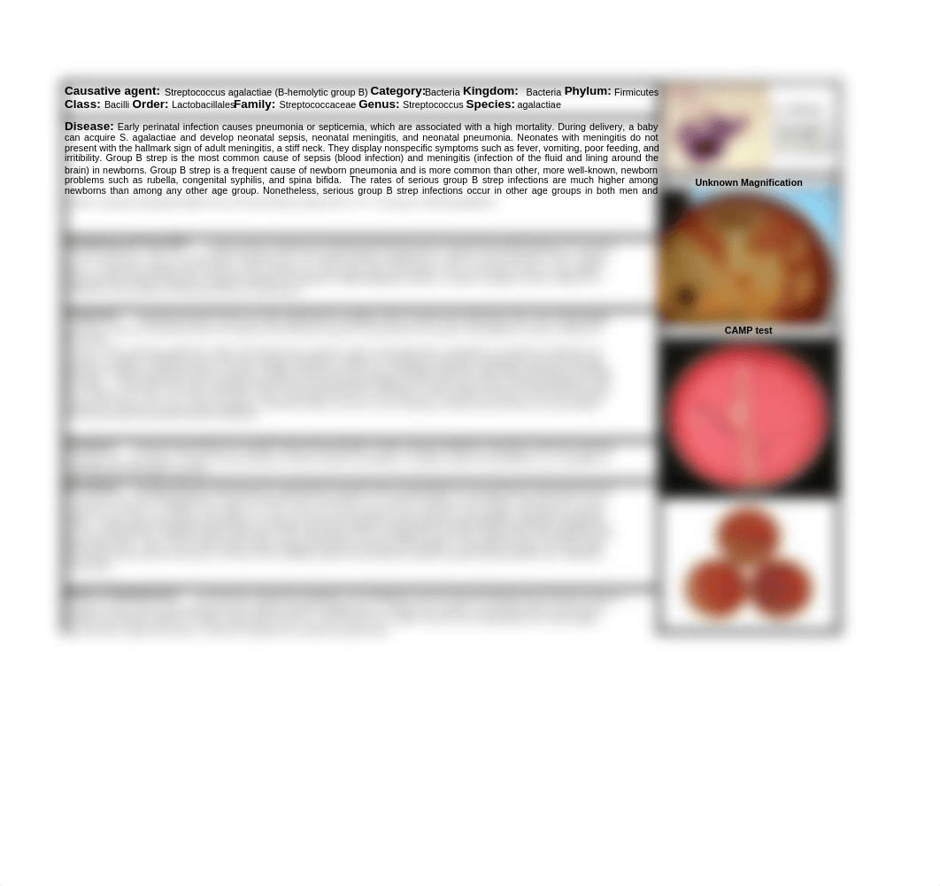 Pathogen Project Pathogens Streptococcus agalactiae_dbcngo2ghmw_page1