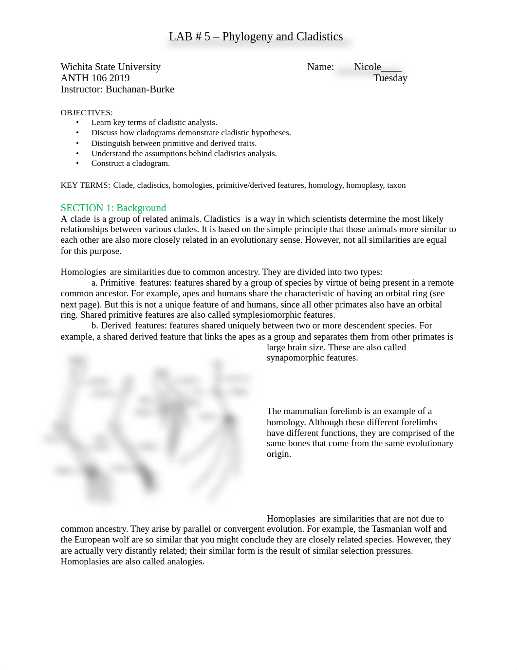 LAB 5 - Phyogeny and Cladistics.pdf_dbcor6013s9_page1