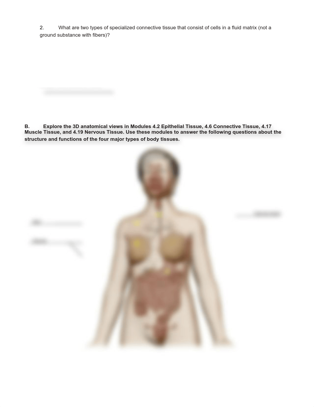 A&P Tissues Lab .pdf_dbcpfv3ty0o_page4