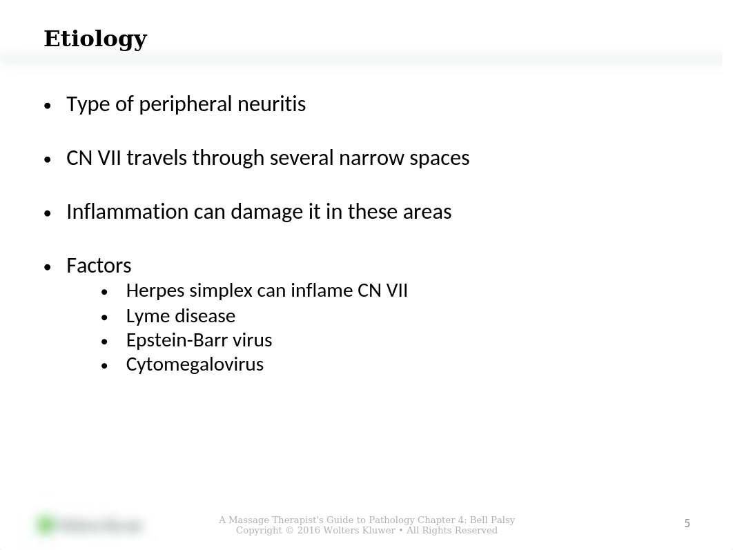 Nervous System Injuries.pptx_dbcqf0srb5u_page5