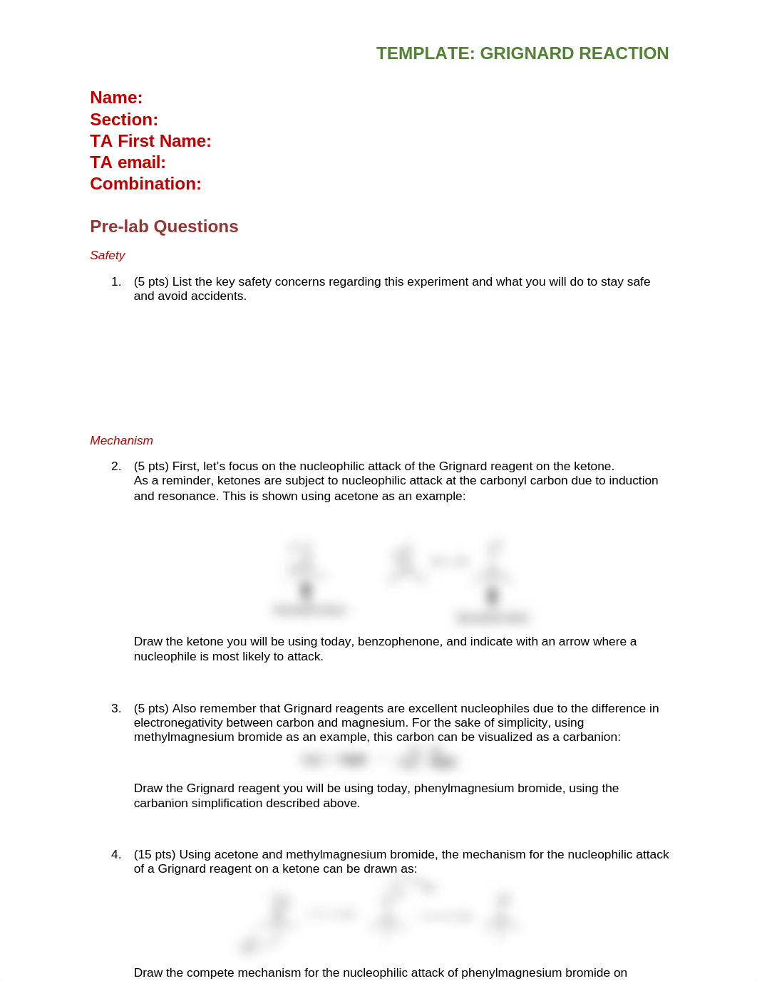 Grignard TEMPLATE.docx_dbcqfa9rsq5_page1