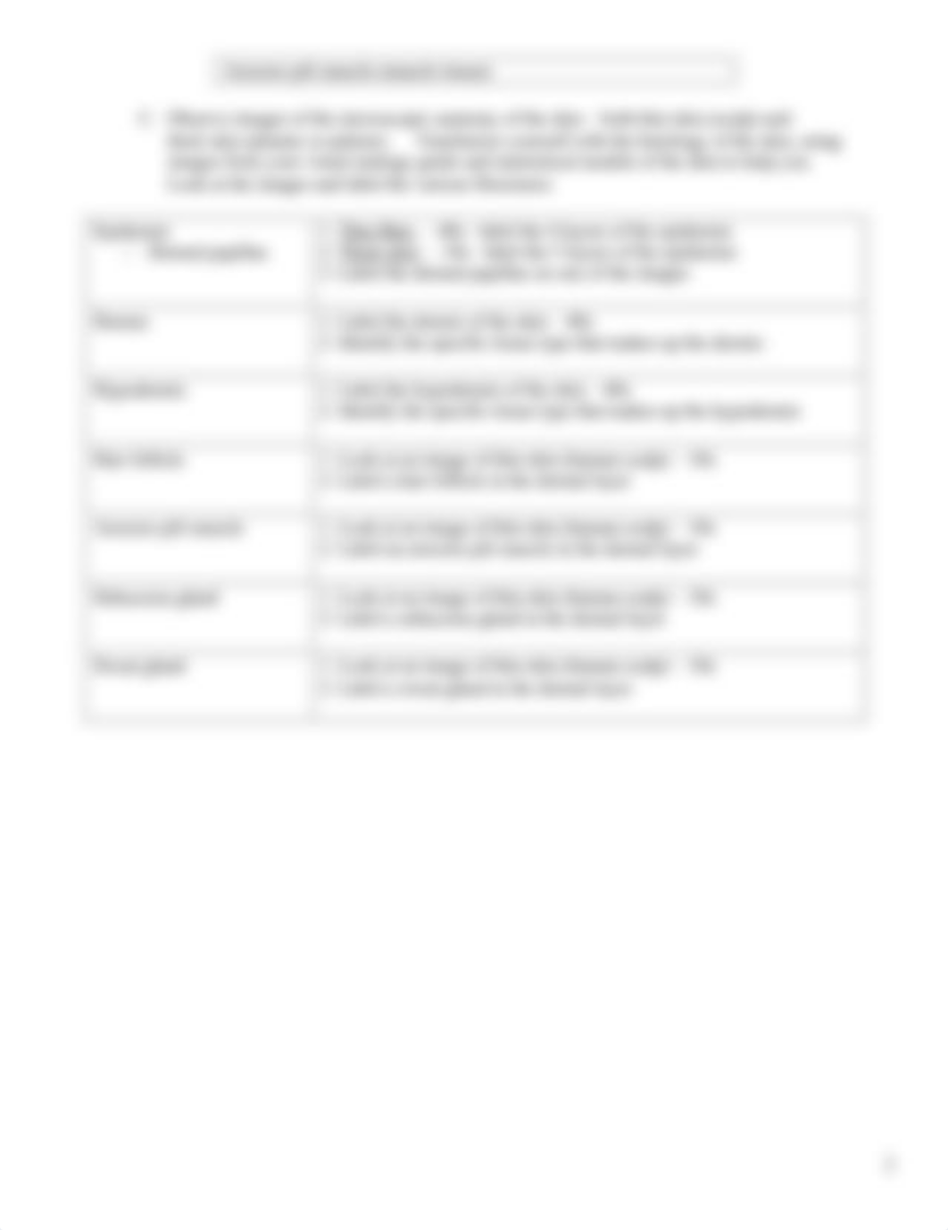 Unit 2 - Lab 4 Online_Integumentary Lab-1 (1).doc_dbcv6n5alfg_page2