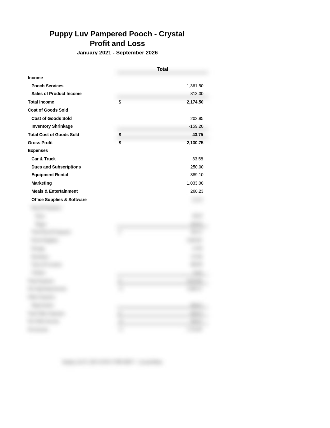 CH 11 Profit and Loss Statement.xlsx_dbd1h476quv_page1