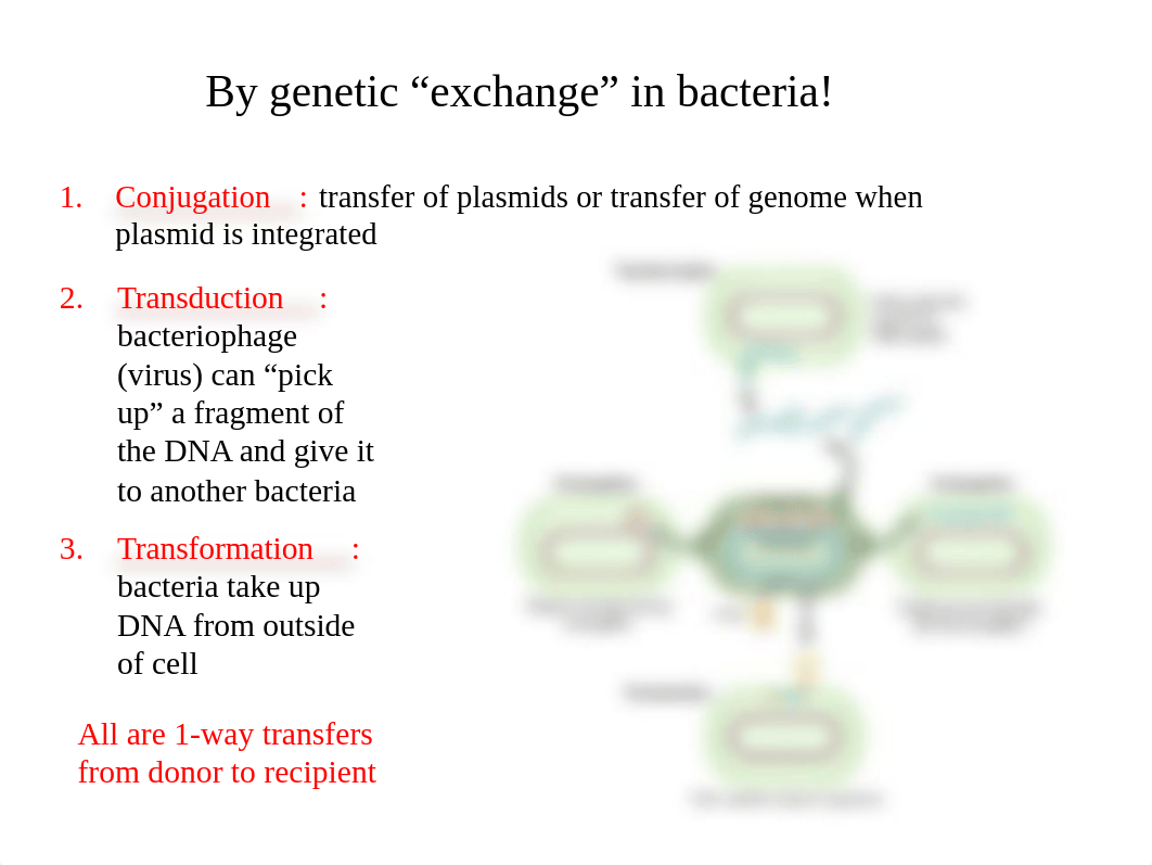 05 Genetic Recombination in Bacteria and Viruses Moodle_dbd33amqtzi_page4