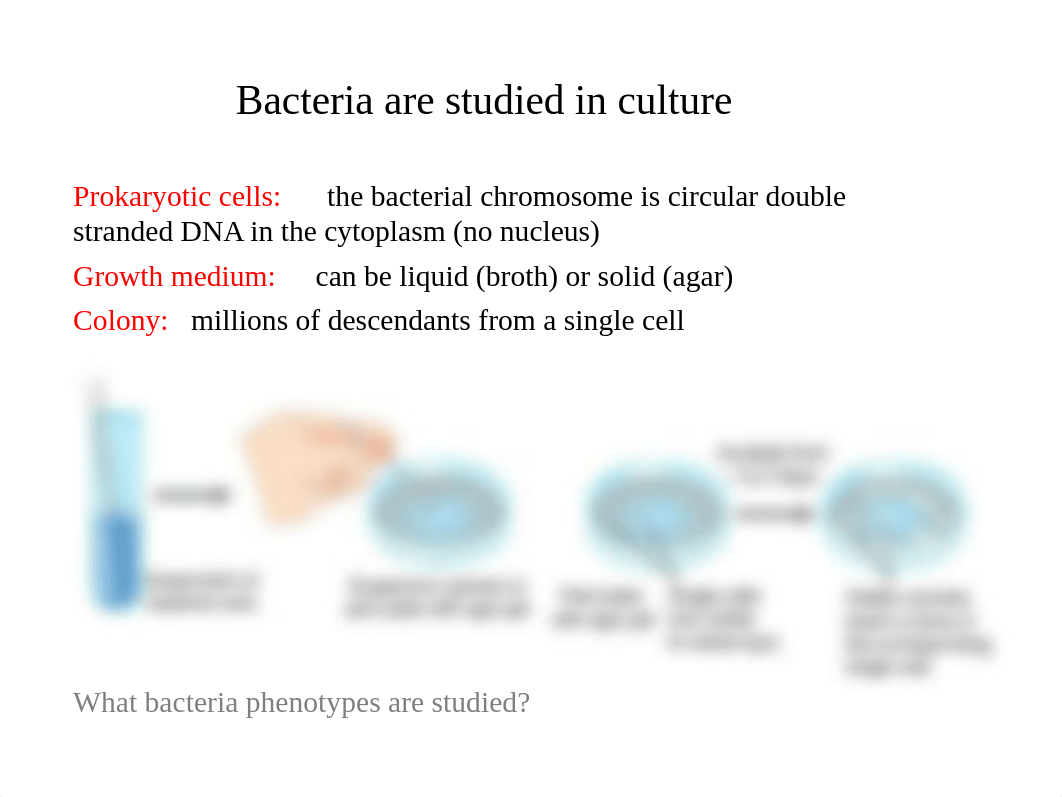 05 Genetic Recombination in Bacteria and Viruses Moodle_dbd33amqtzi_page5