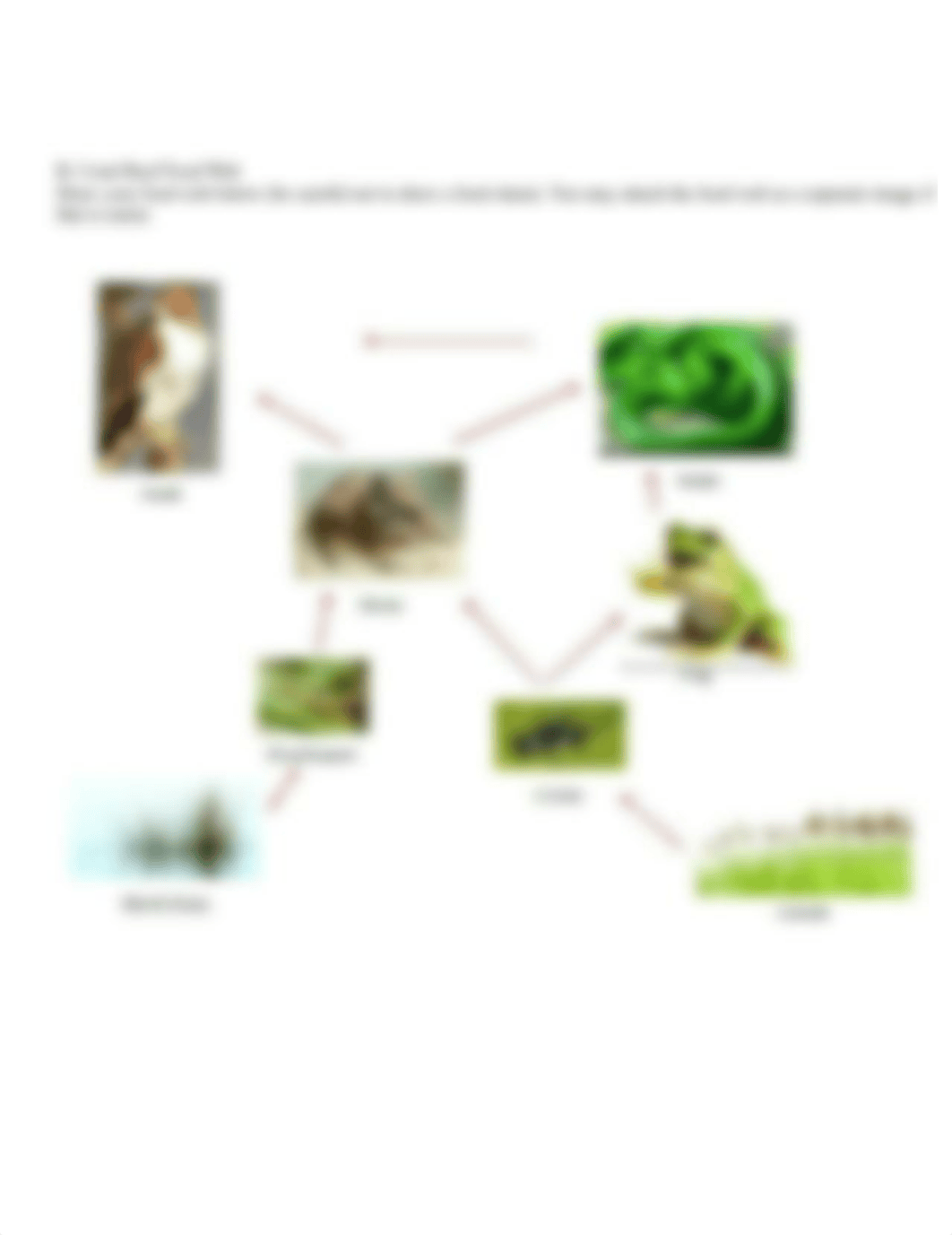 Lab 5:The Coral Reef Ecosystem_Dykes, Dru_dbd4mzlxjex_page2