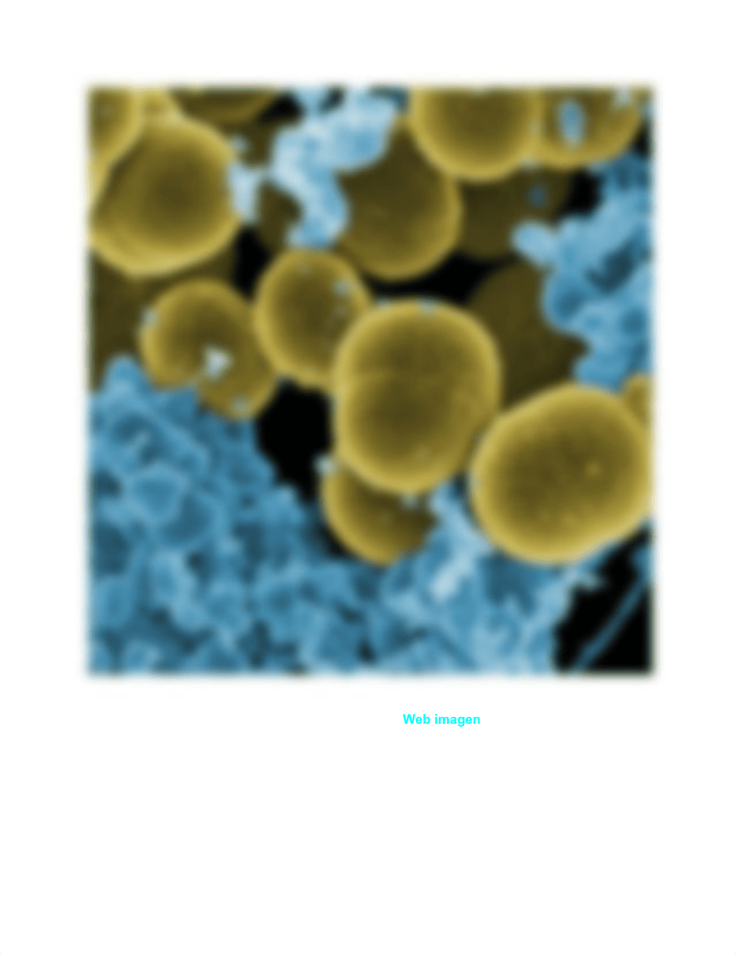 Staphylococcus AUREUS.pdf_dbdczwc0x8v_page2