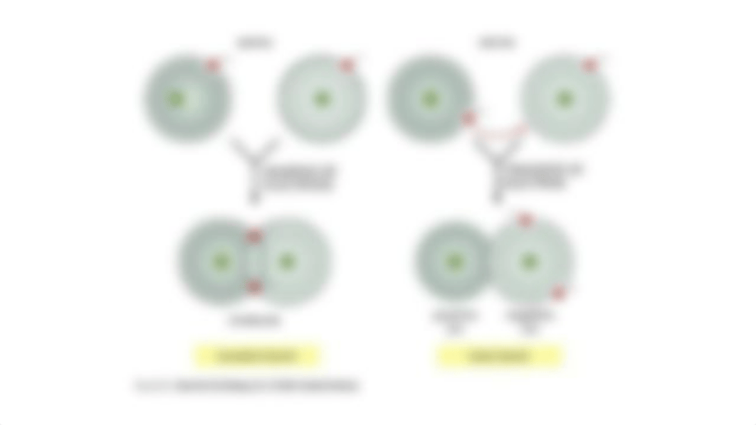 Chapter 6 Fundamentals of Chemistry Powerpoint_dbdplcvvhpp_page5