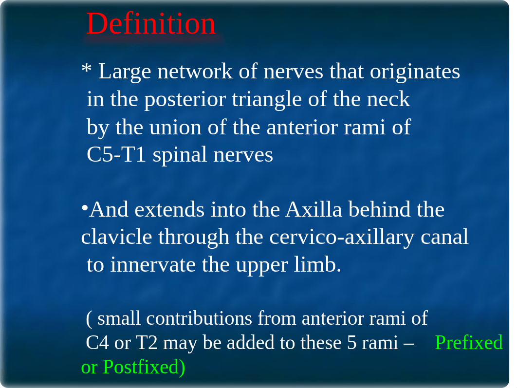 04 Brachial Plexus_dbdu62c405g_page3