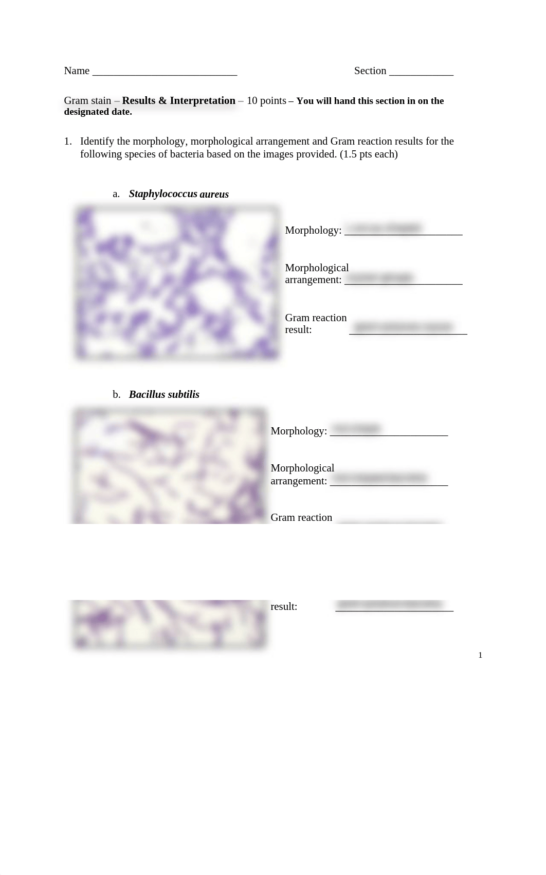 FRIDAY Gram staining - Assignment.pdf_dbdu73v7xj5_page1