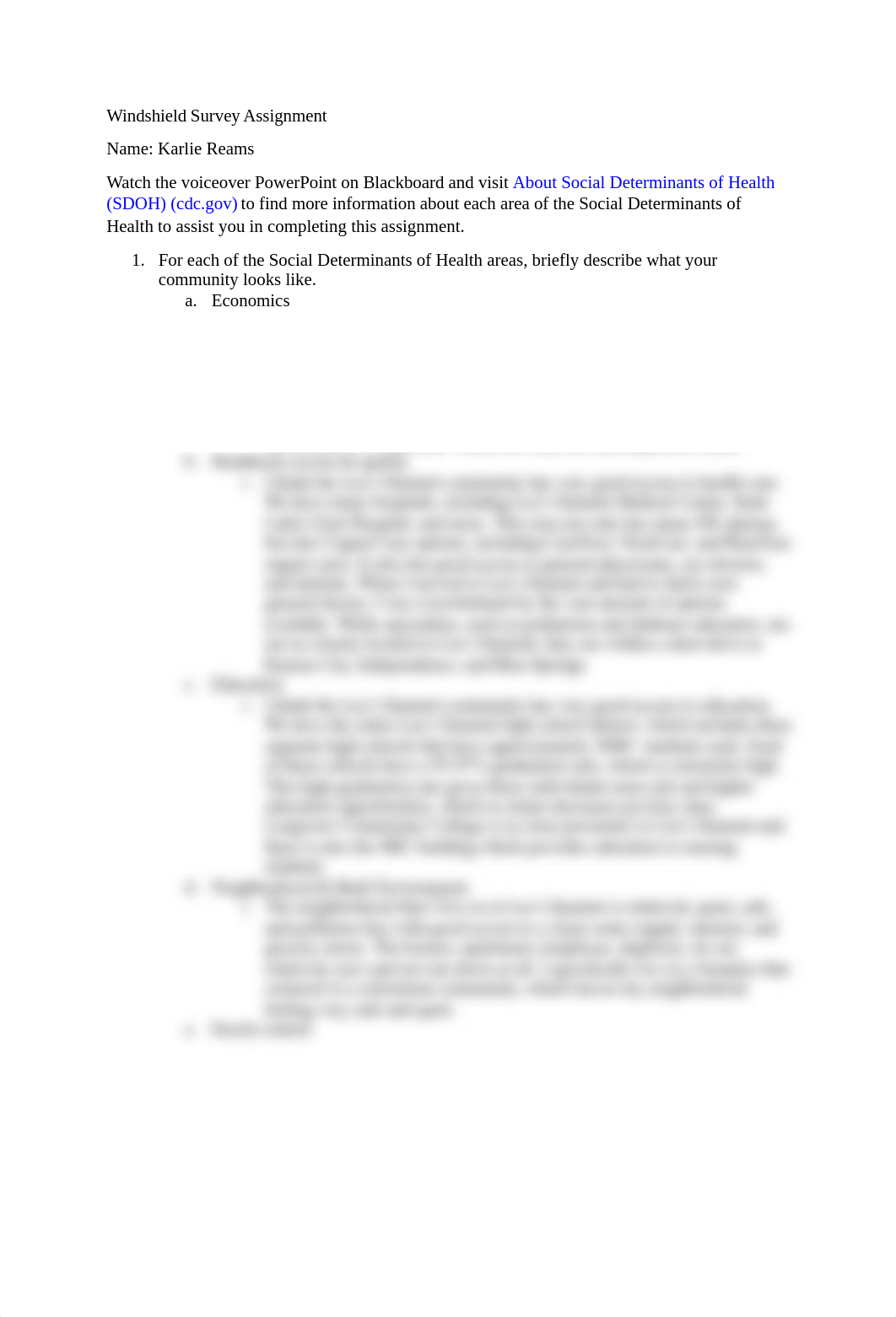 Windshield Survey Assignment.docx_dbdyy81ku4n_page1