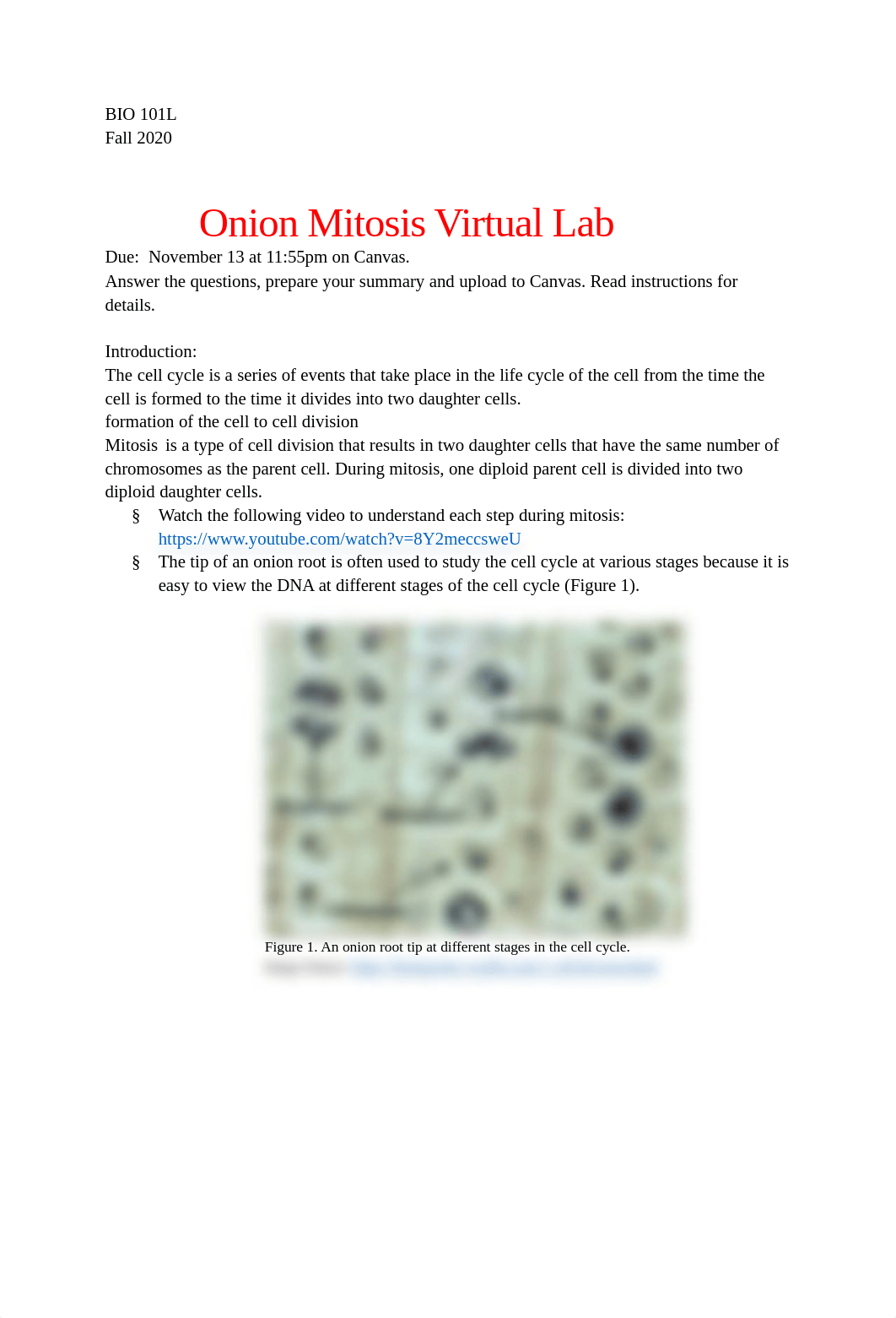 Virtual Mitosis Lab.pdf_dbdzoq02rqj_page1