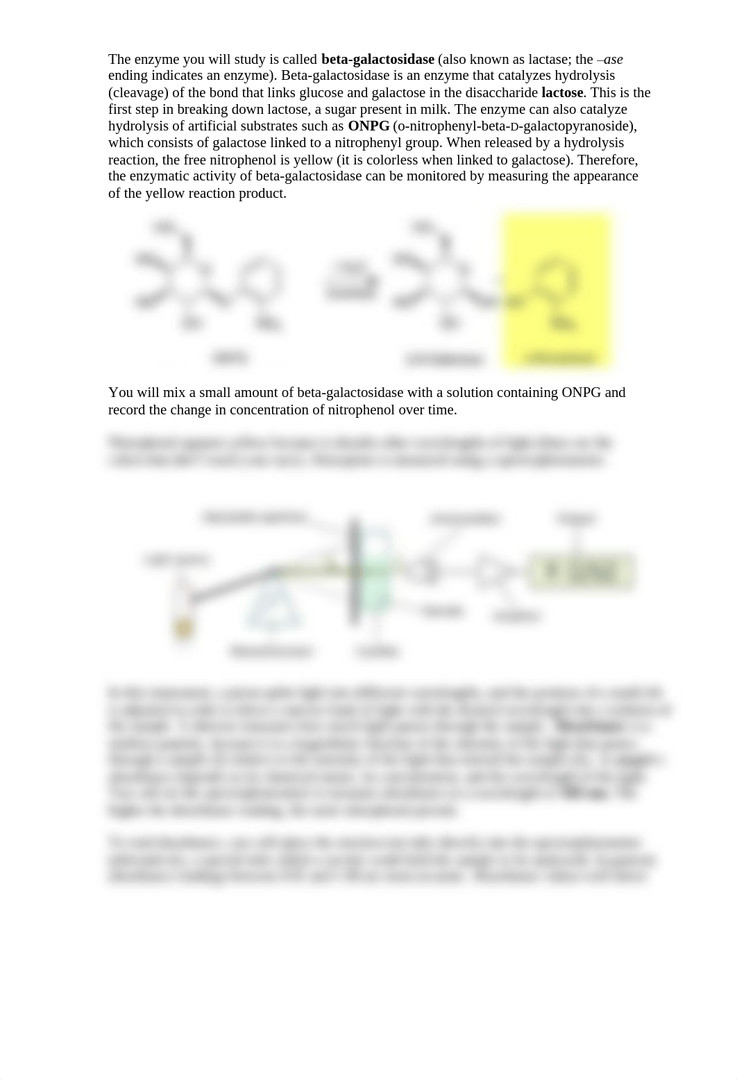 F16 Lab 3 Enzymes SV_dbeasoafxk8_page2