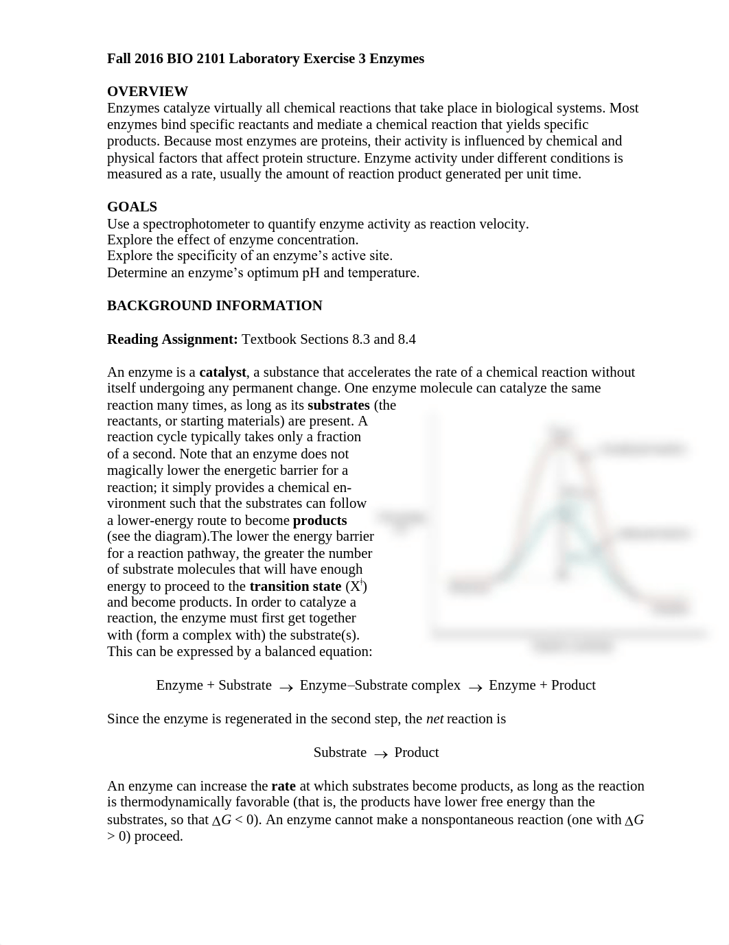 F16 Lab 3 Enzymes SV_dbeasoafxk8_page1