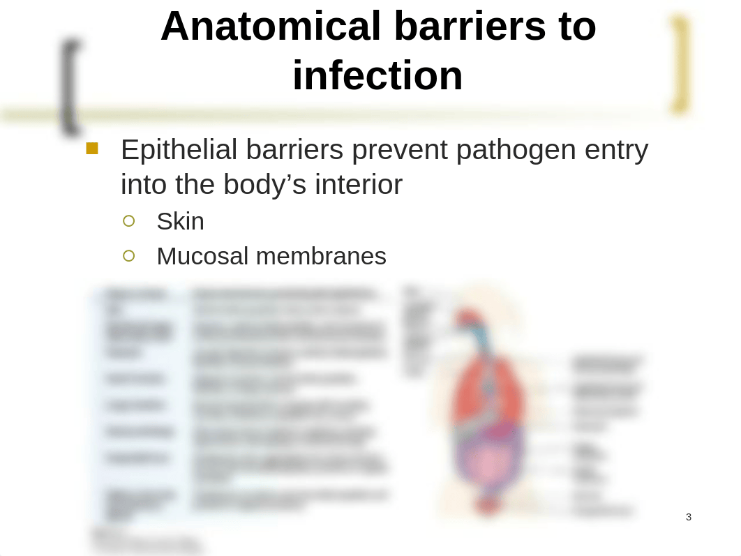 Kuby Immunology: Chapter 2 powerpoint_dbeh9zaa903_page3