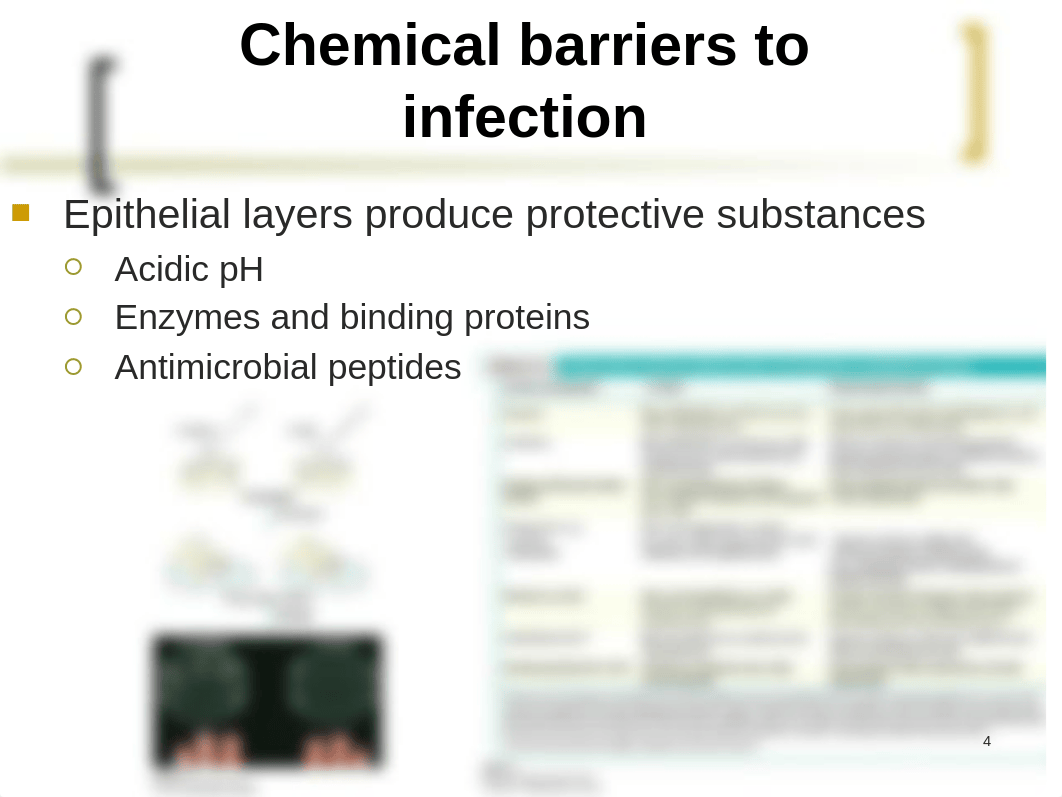 Kuby Immunology: Chapter 2 powerpoint_dbeh9zaa903_page4