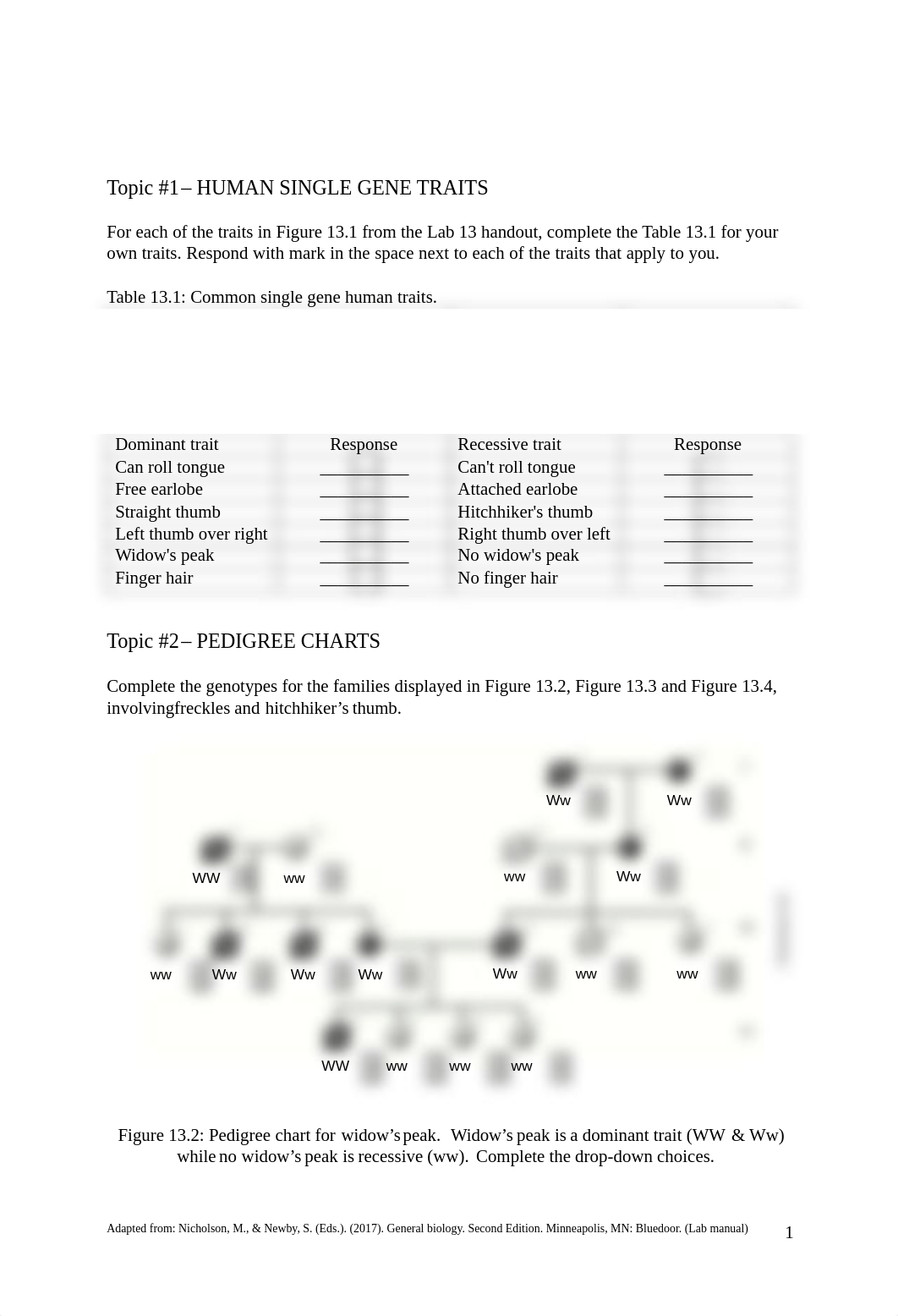 Lab 14.pdf_dbeov1lmecm_page1