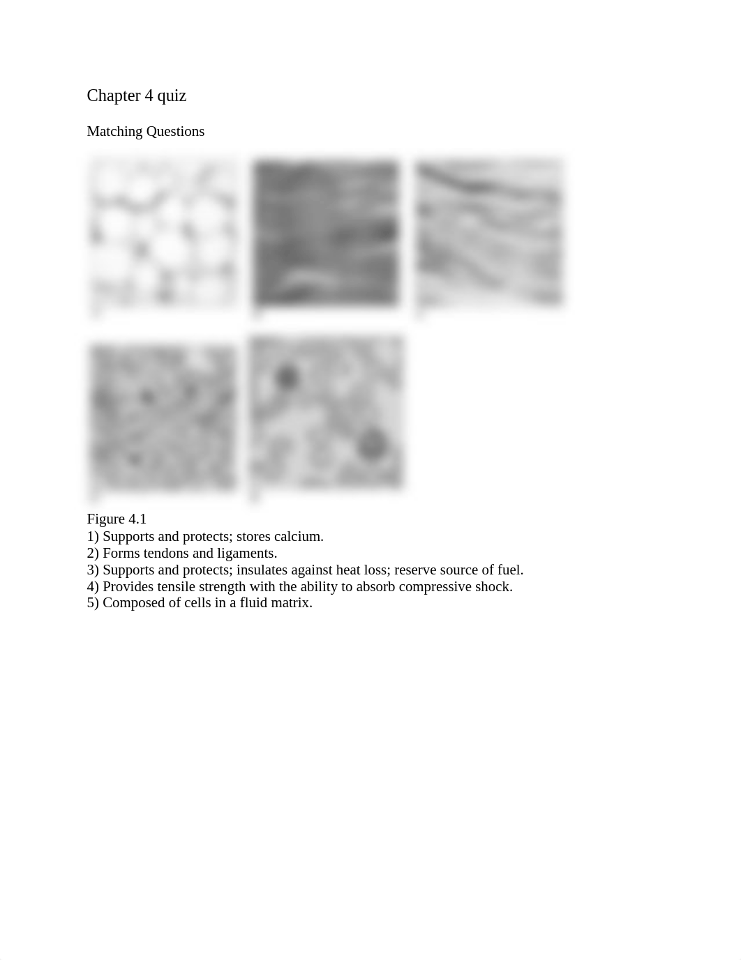 Chapter 4 quiz.pdf_dbesa4oc36a_page1