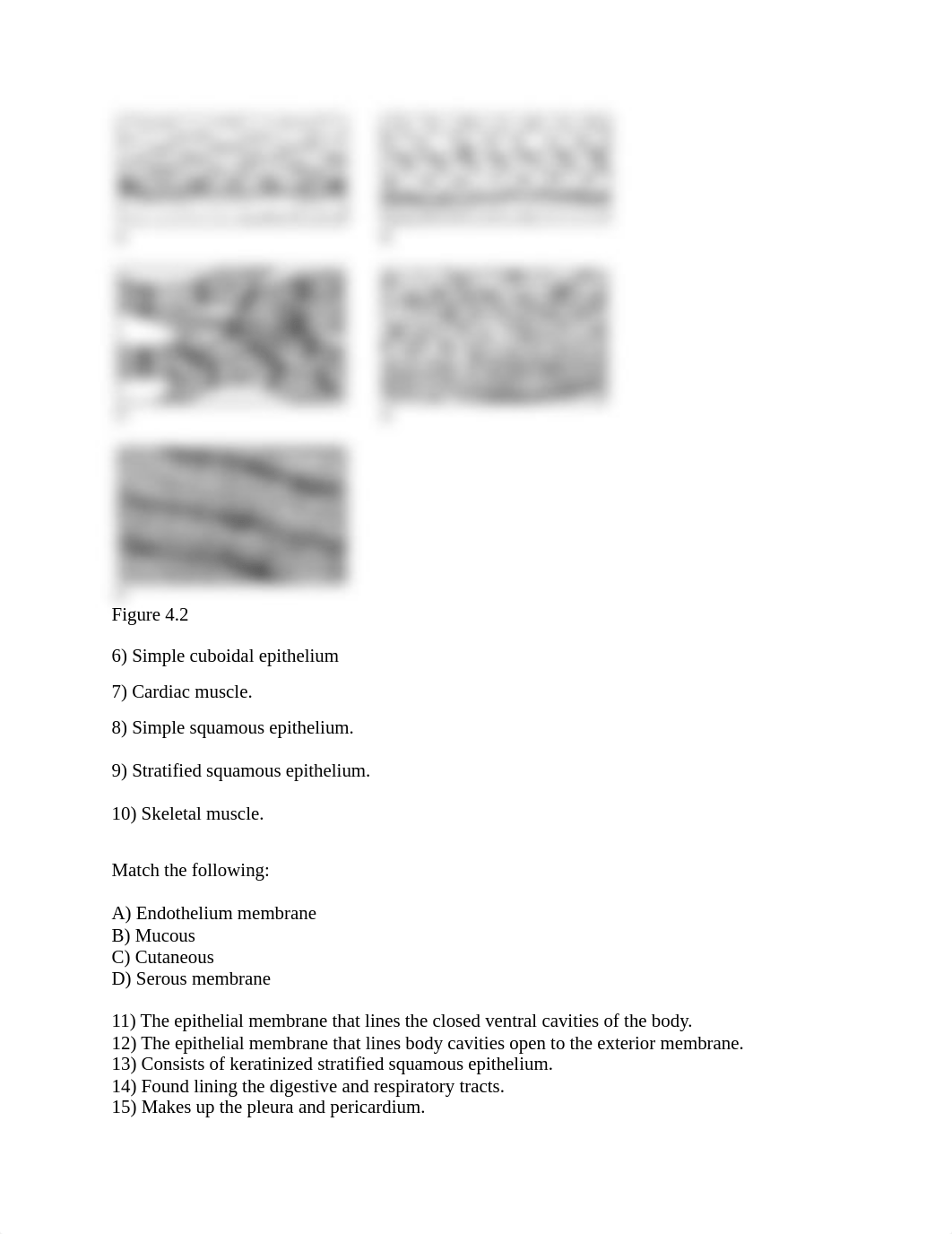 Chapter 4 quiz.pdf_dbesa4oc36a_page2