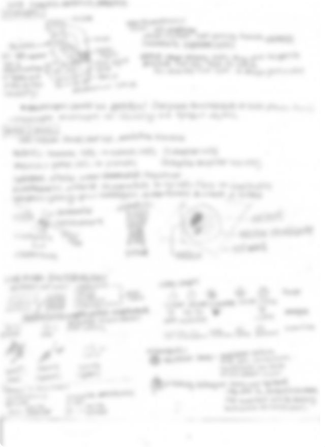 Bio 51 Lab Study 1_dbeutv9mvyc_page1