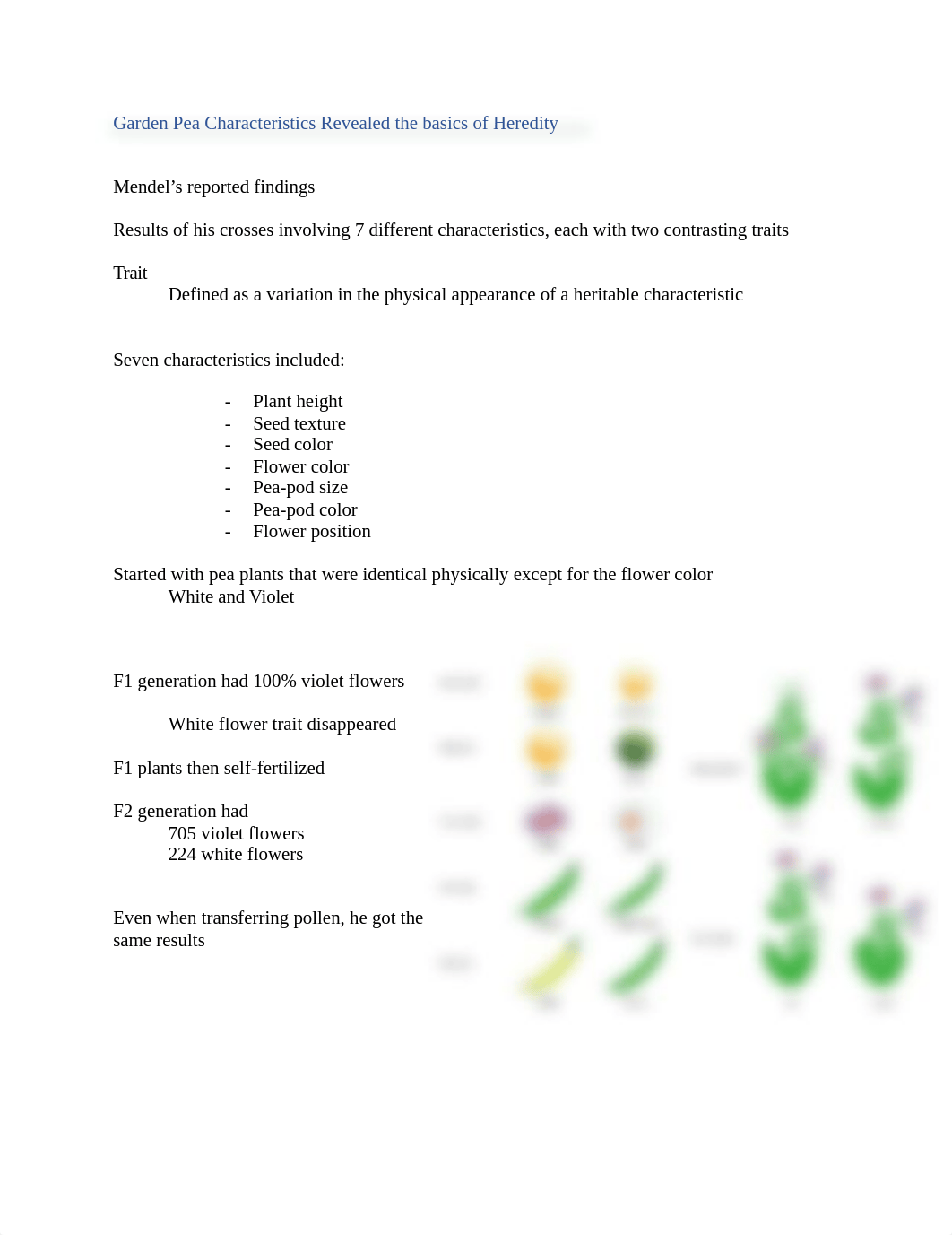 Concepts Chapter 8 The Patterns of Inheritance.docx_dbf2bf44vvl_page3