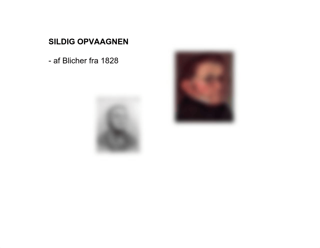 2g noter - Sildig OpvÃÂ¥gnen.pdf_dbf4tdd33io_page1