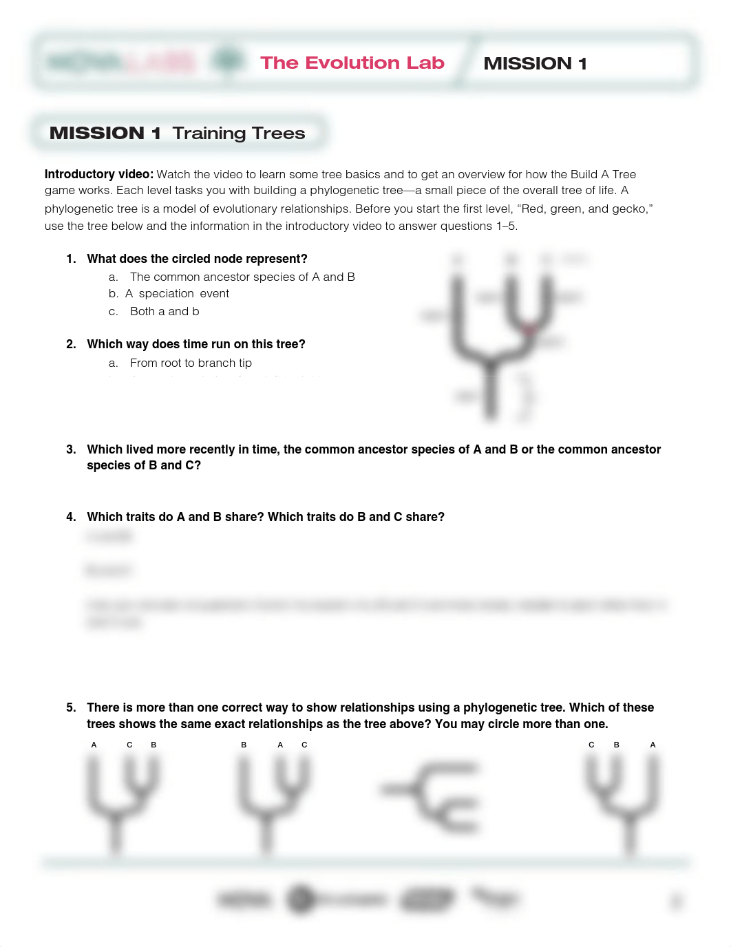 NOVA_Evolution_Lab_Worksheets.pdf_dbffvsoiknm_page2