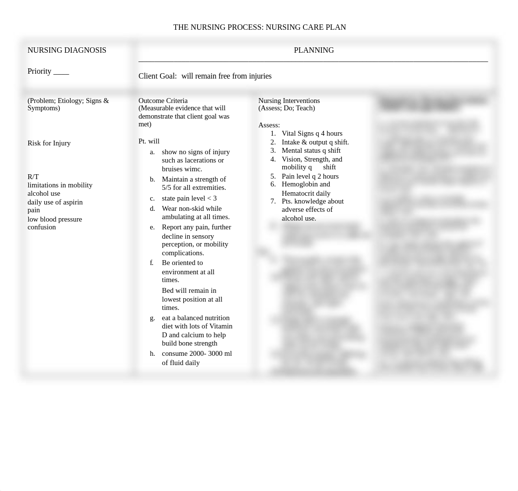 2nd graded careplan risk for injury.doc_dbfs4drlpuy_page1