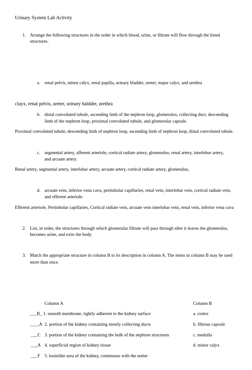 Urinary System Lab Activity barfield-emily.docx_dbft3cx6edx_page1