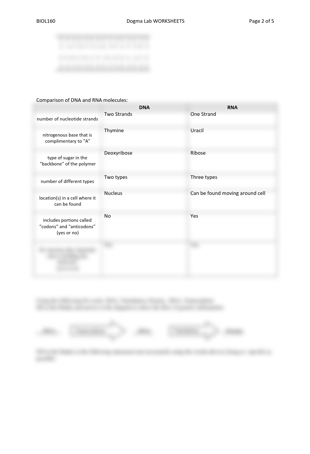 Biology 100 Week 5 DNA_dbfuckczio6_page2