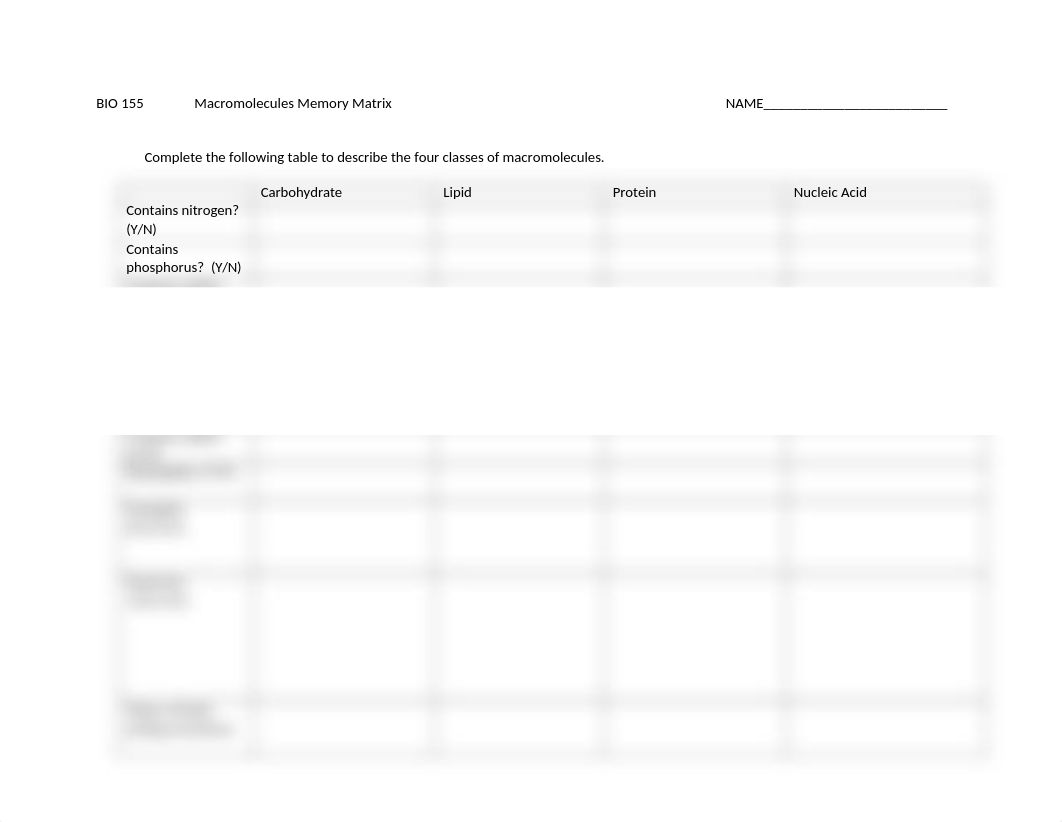 Macromolecules Activity.docx_dbfud9y7ou2_page1