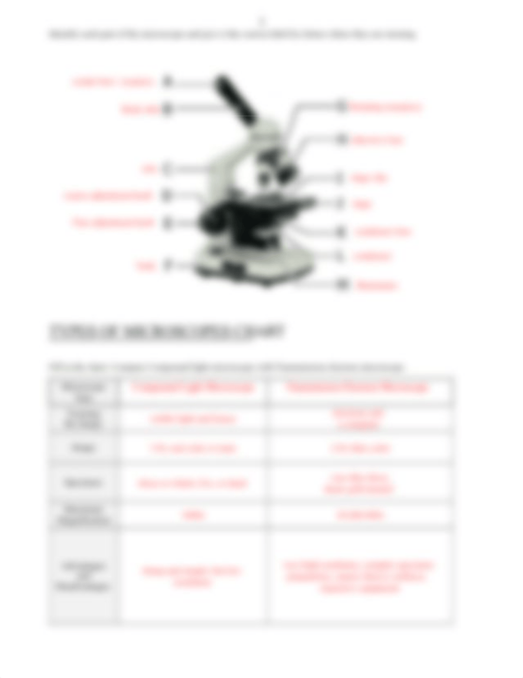 Microscope practice wksheet.docx_dbfy5563yl0_page2