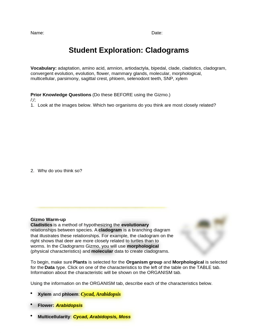 CladogramsSE-1.docx_dbg4v8y4e9z_page1