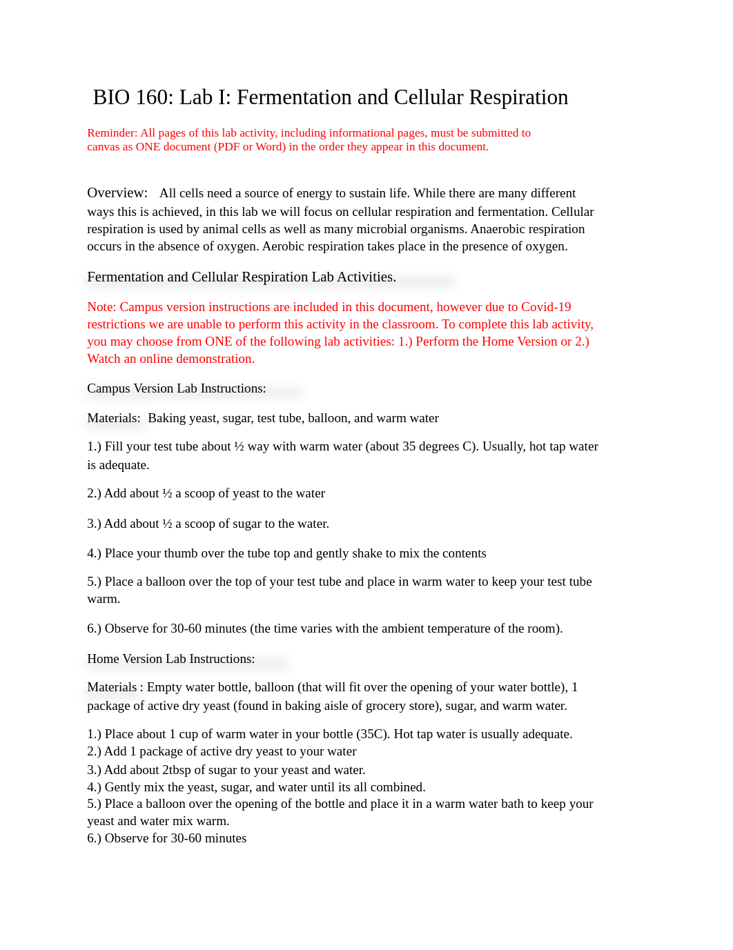 Lab I Fermentation and Cellular Respiration.docx_dbg5eu464r0_page1