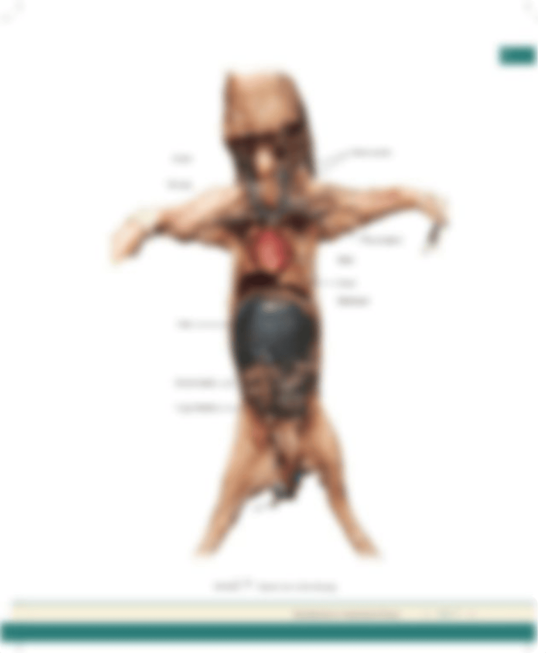 Unit 1 Exercise 1-4 Procedure 1 w changes (1).pdf_dbgcb29u6yj_page3